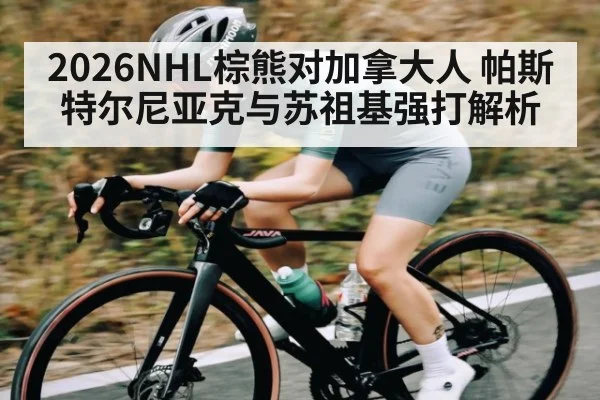 2026NHL棕熊对加拿大人 帕斯特尔尼亚克与苏祖基强打解析
